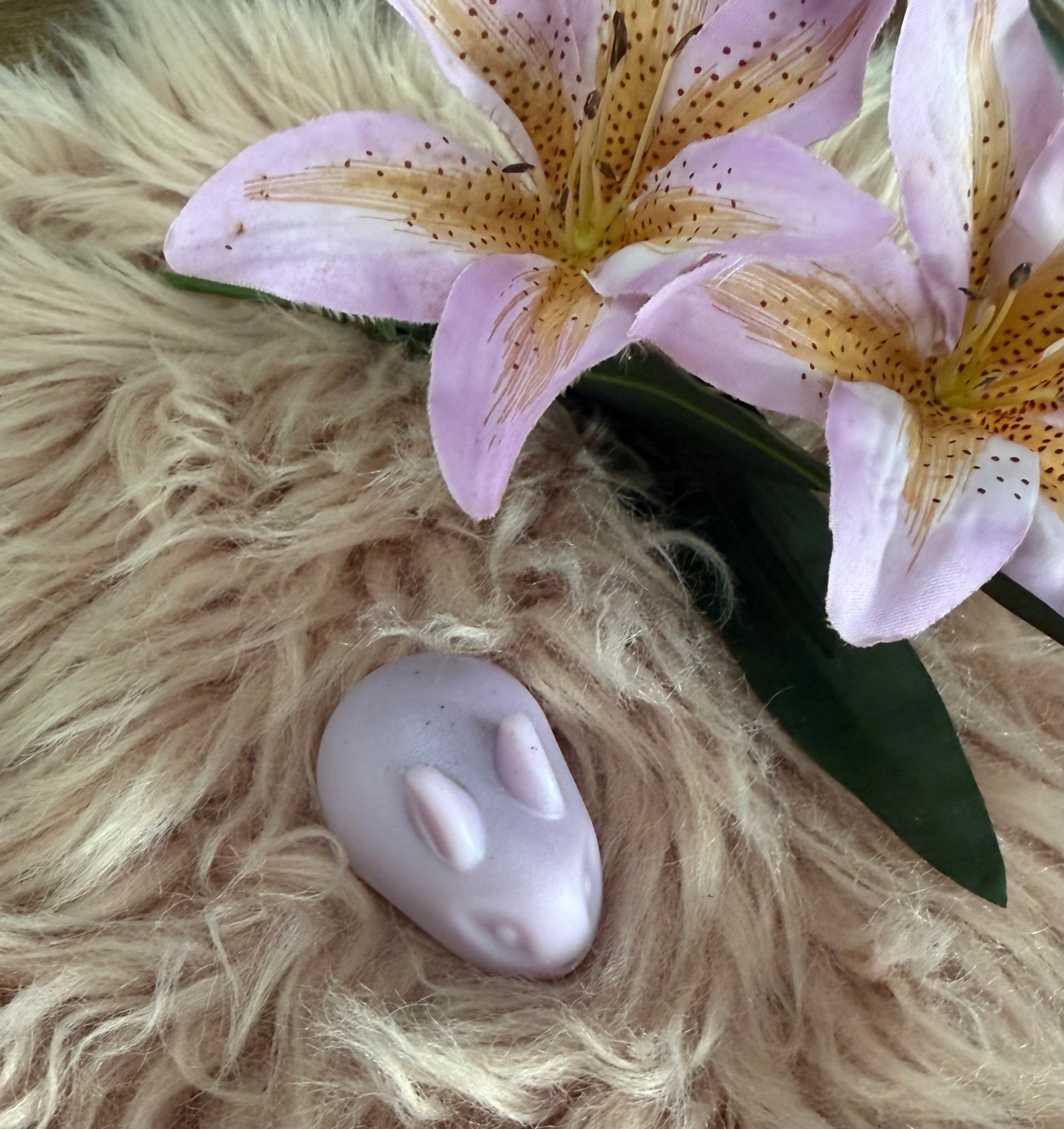 Coconut Milk und Lavender Hase